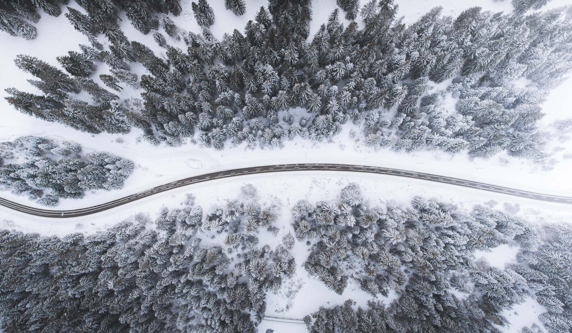 Bird eye’s view!, by Kimon Maritz